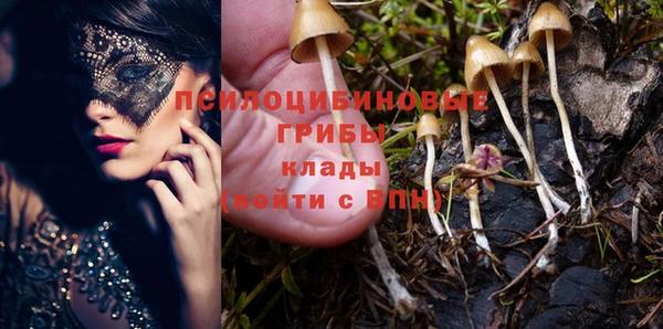 стафф Абаза